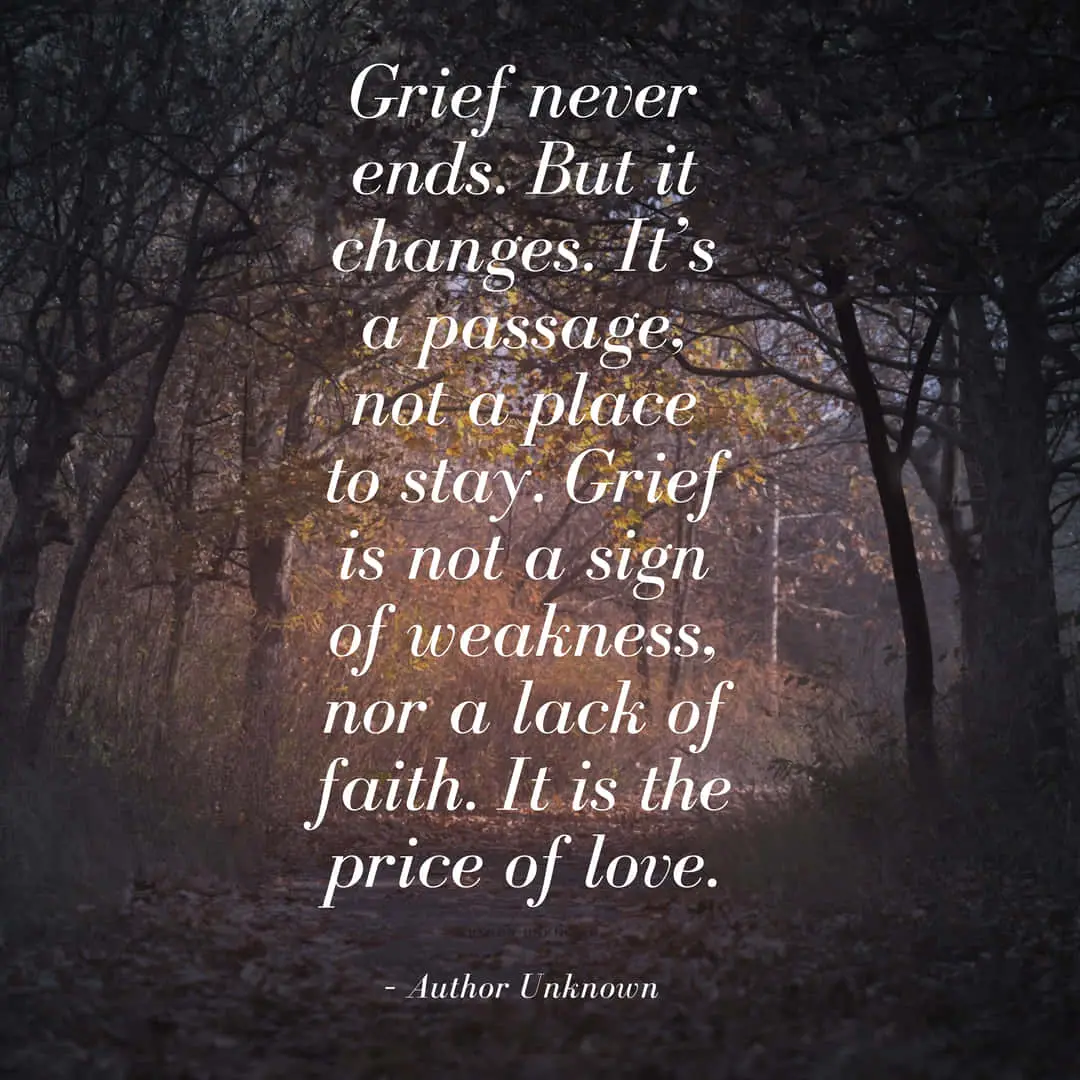 Grief and healing illustration for inspirational blog post